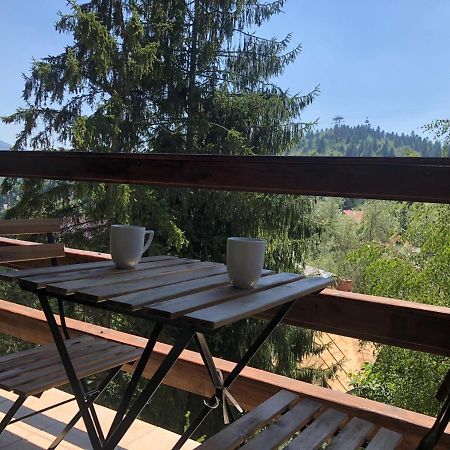 Forest Apartments By Olala Homes Σινάια Εξωτερικό φωτογραφία