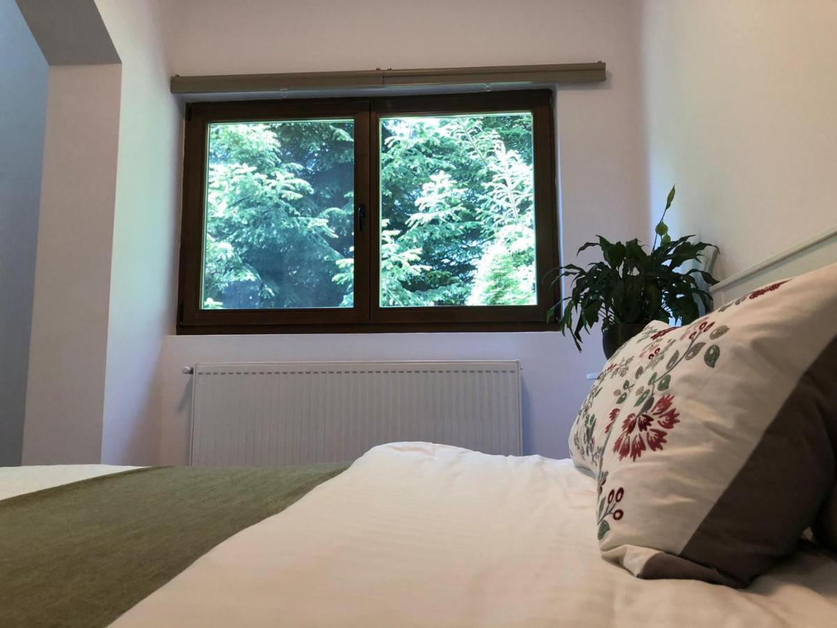 Forest Apartments By Olala Homes Σινάια Εξωτερικό φωτογραφία
