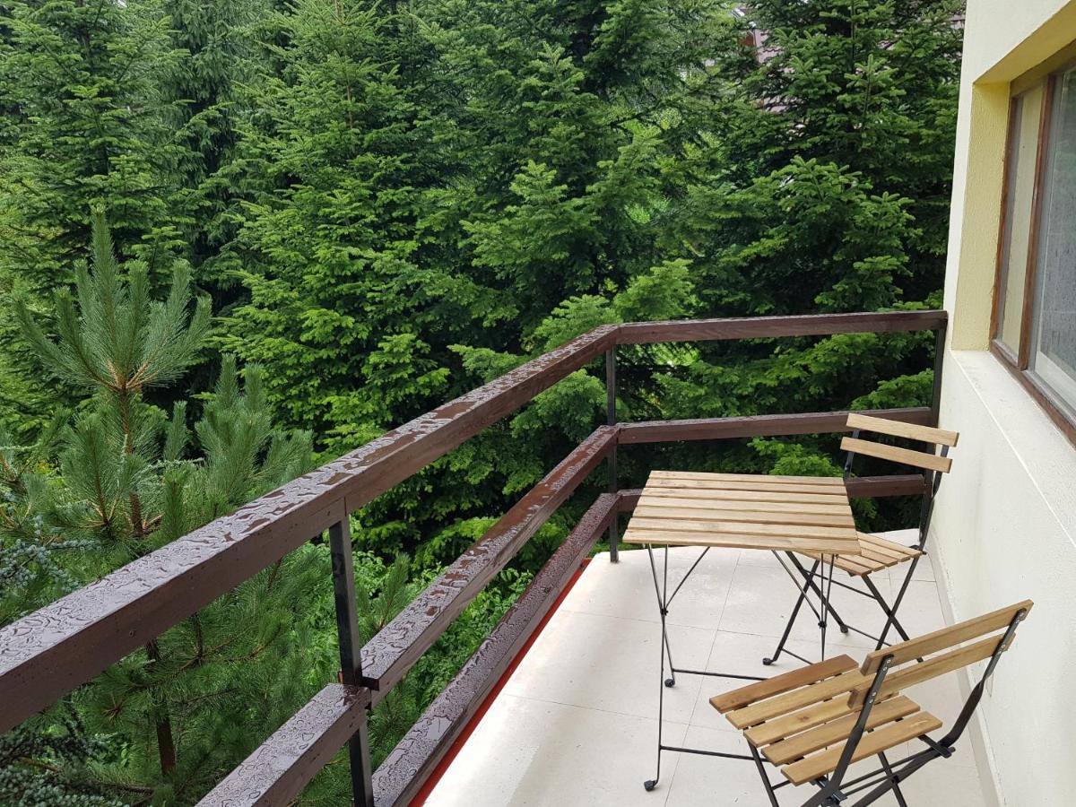 Forest Apartments By Olala Homes Σινάια Εξωτερικό φωτογραφία