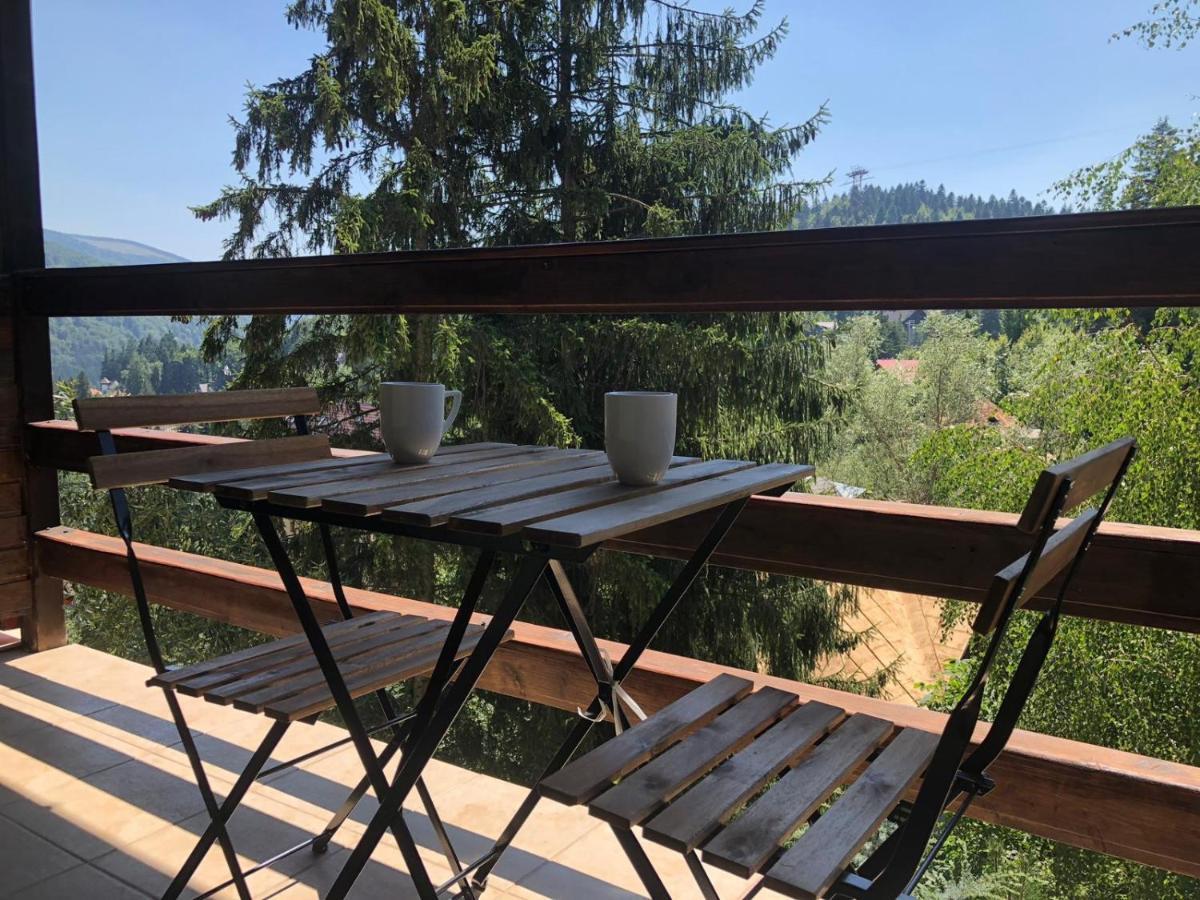 Forest Apartments By Olala Homes Σινάια Εξωτερικό φωτογραφία