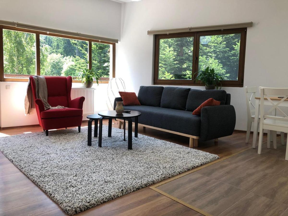 Forest Apartments By Olala Homes Σινάια Εξωτερικό φωτογραφία