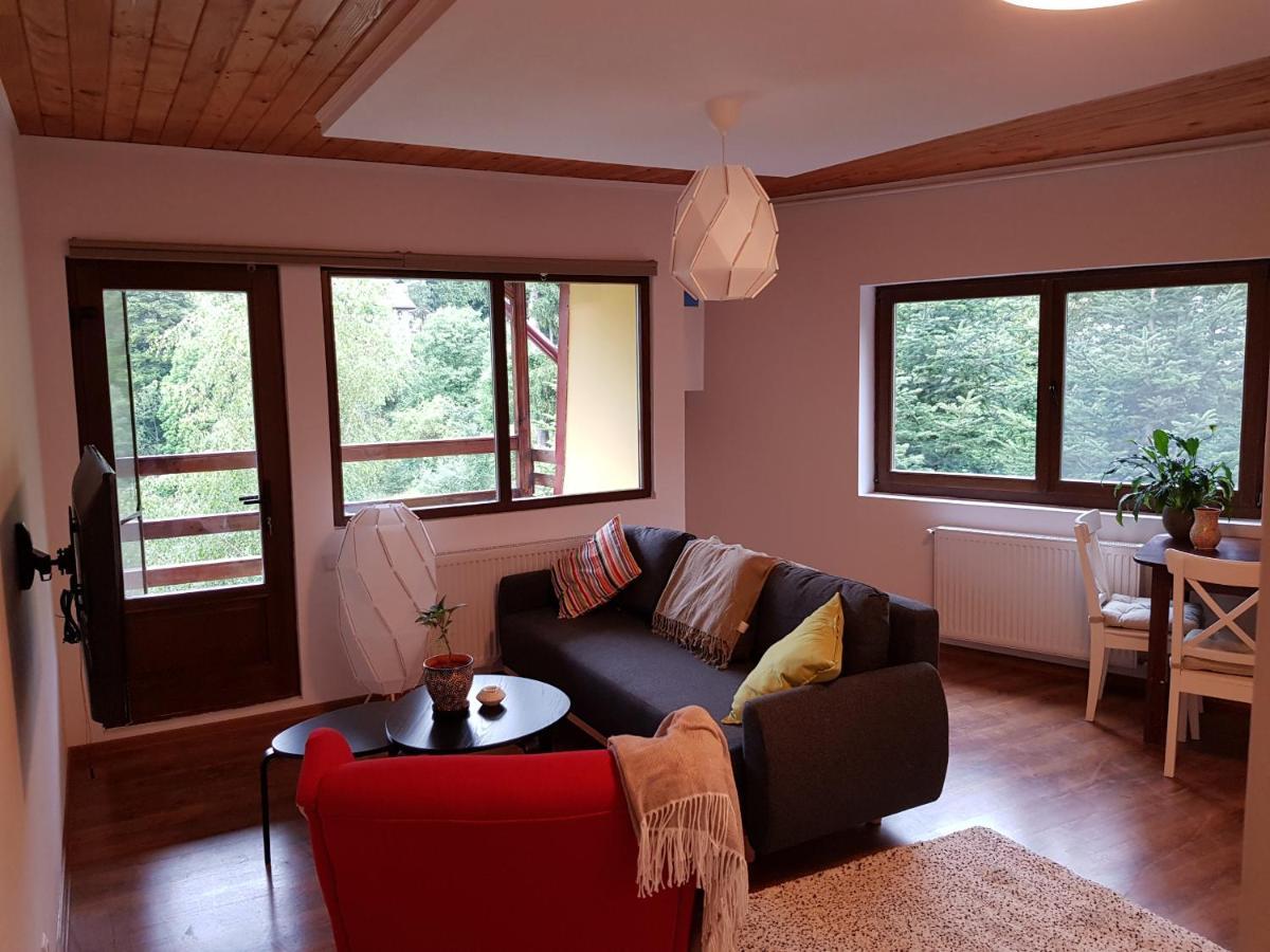 Forest Apartments By Olala Homes Σινάια Εξωτερικό φωτογραφία