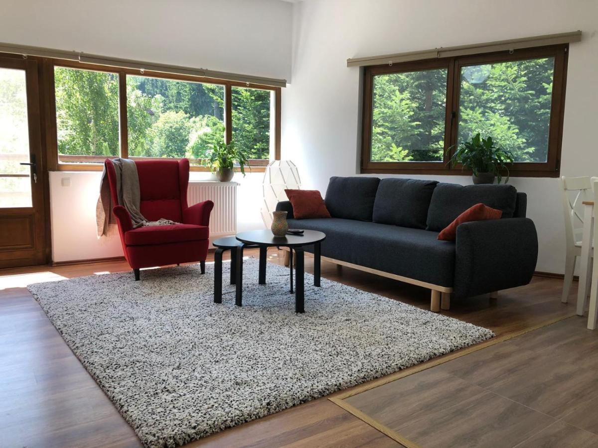 Forest Apartments By Olala Homes Σινάια Εξωτερικό φωτογραφία