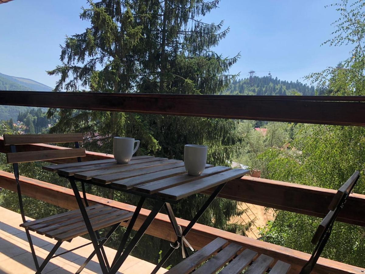 Forest Apartments By Olala Homes Σινάια Εξωτερικό φωτογραφία