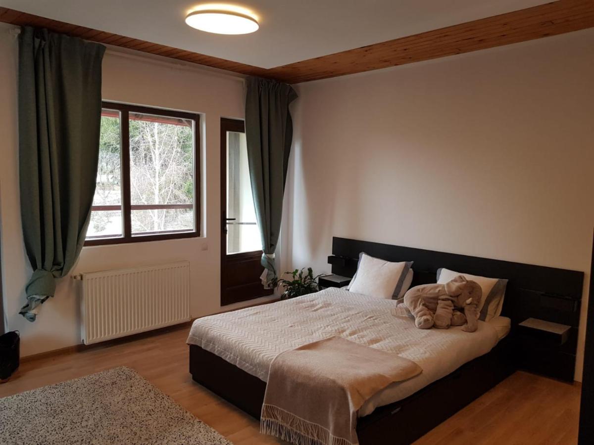 Forest Apartments By Olala Homes Σινάια Εξωτερικό φωτογραφία